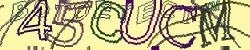 Retype the CAPTCHA code from the image